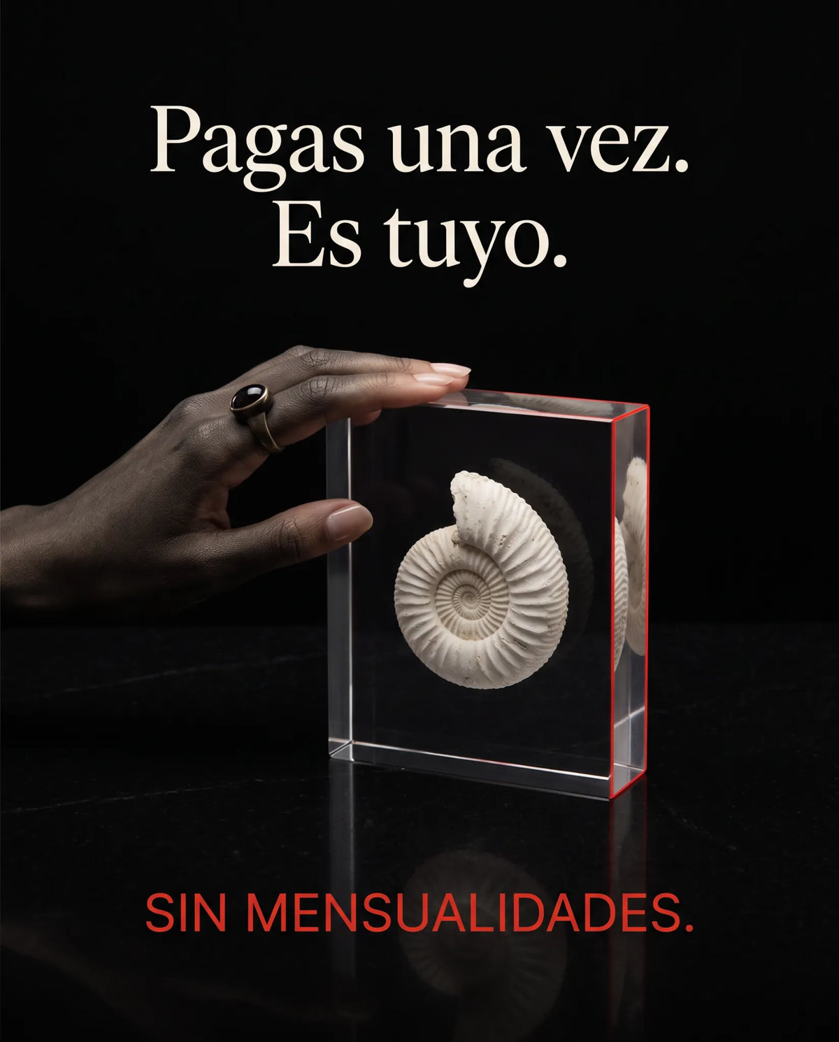 Pagas una vez. Es tuyo. Sin mensualidades.